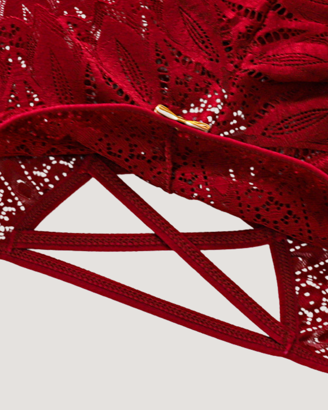 CrissCross Temptation Lace Panty