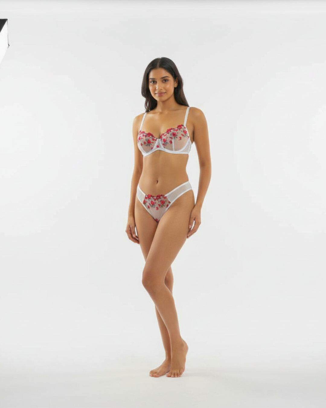 Ethereal Mesh Embroidered Bra and Panty Set