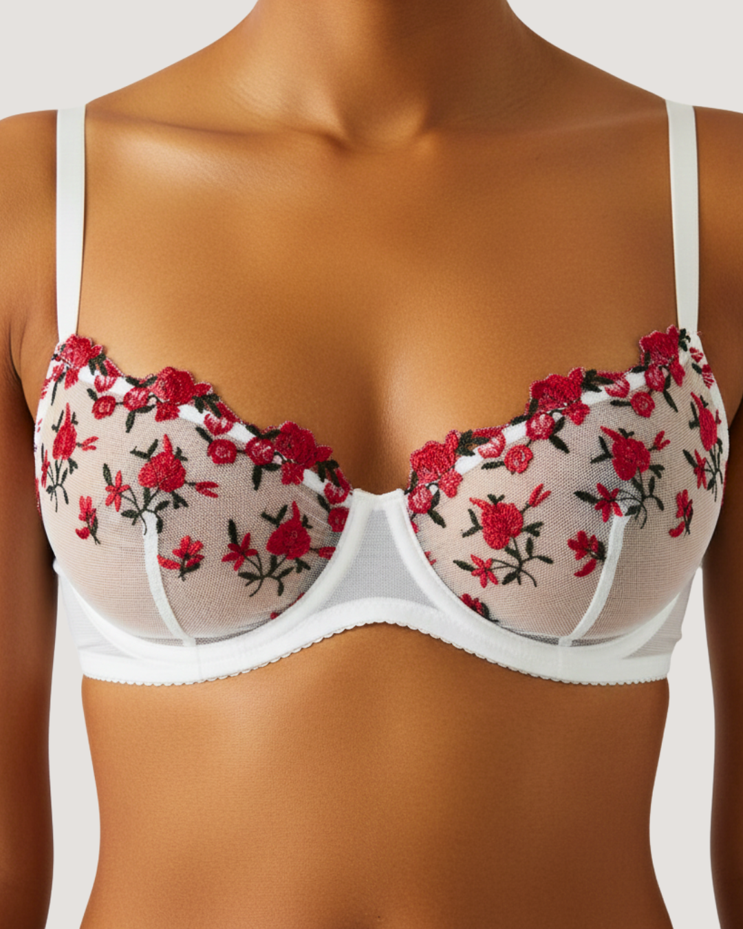 Ethereal Mesh Embroidered Bra and Panty Set