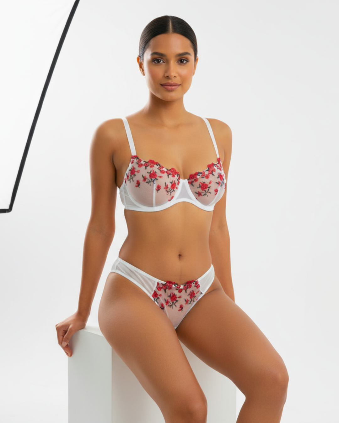 Ethereal Mesh Embroidered Bra and Panty Set