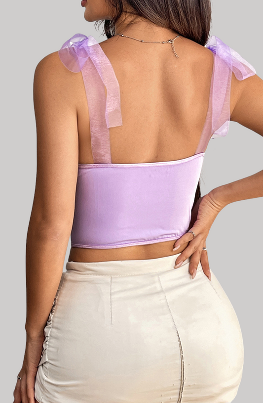 Lace Delight Ribbon Mesh Corset Top