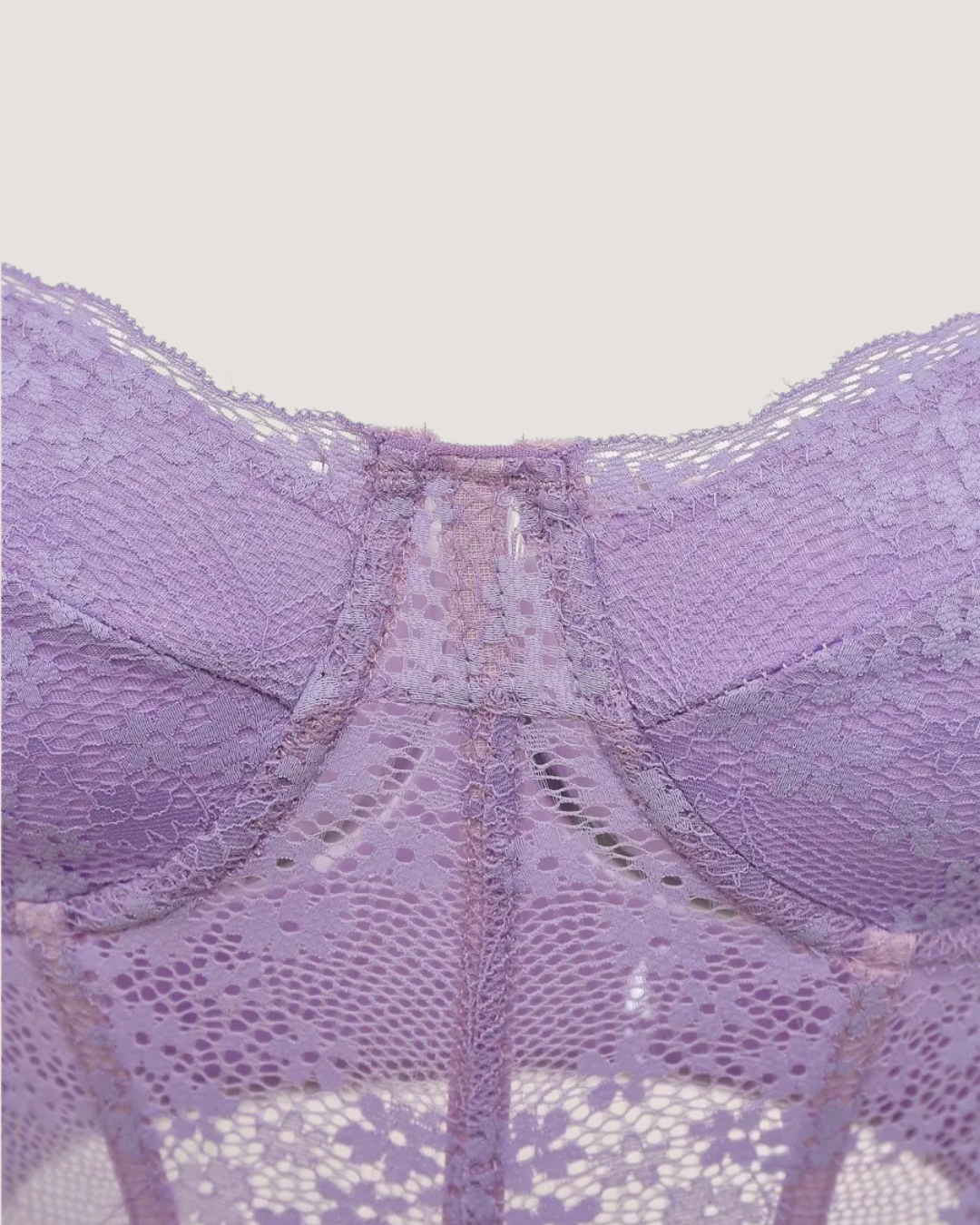 Lace Delight Ribbon Mesh Corset Top