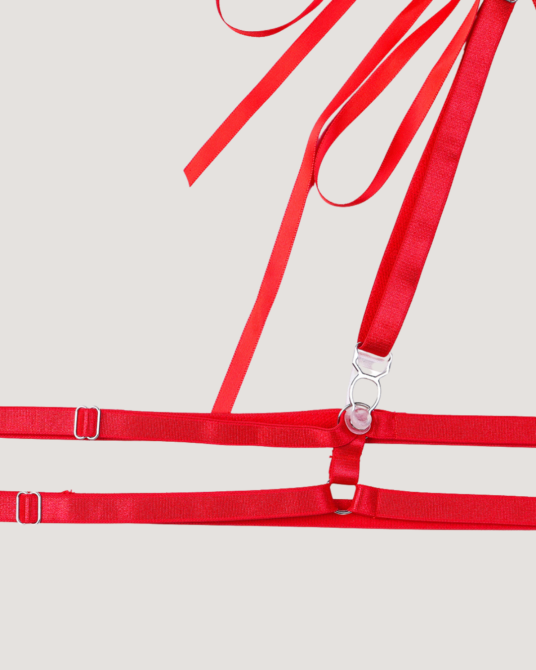 Rosé Temptation Bodysuit