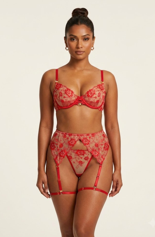 Adriana Embroidered Garter Lingerie Set