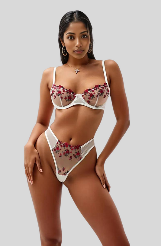 Ethereal Mesh Embroidered Bra and Panty Set