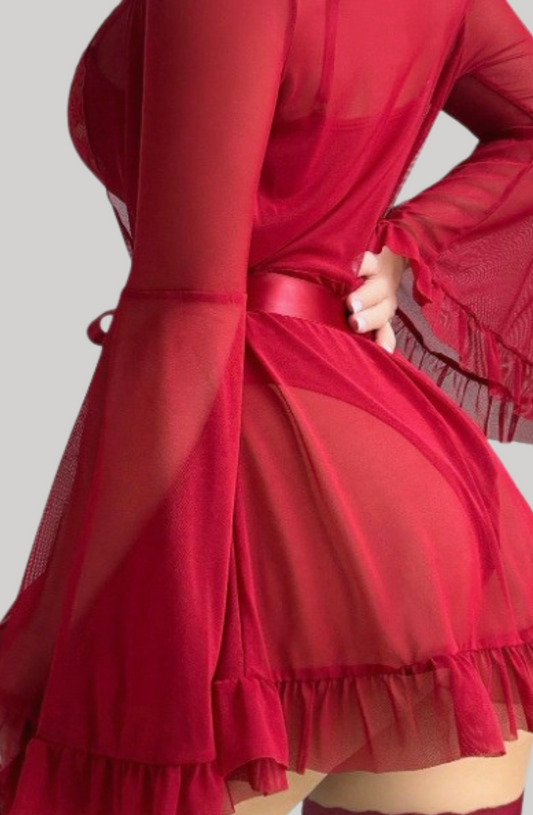 Lace Veil Seduction Bodysuit With Robe